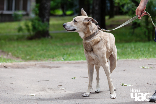 _mg_3668_logo.jpg _mg_3668_logo.jpg