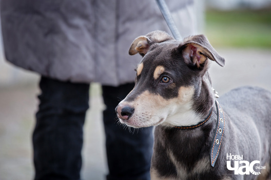 _mg_4085_logo.jpg _mg_4085_logo.jpg