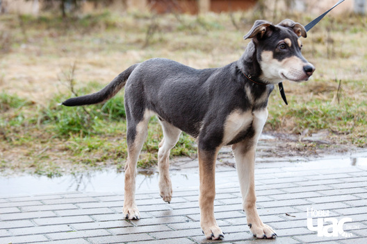 _mg_4117_logo.jpg _mg_4117_logo.jpg