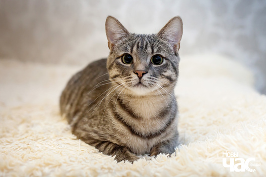 9/9 _mg_5030_logo.jpg