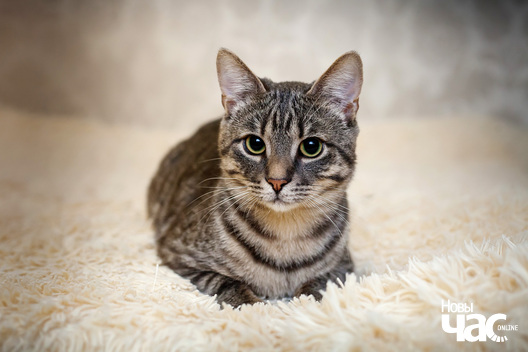 6/9 _mg_5031_logo.jpg