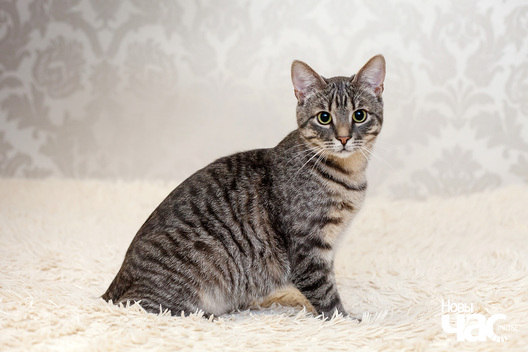 8/9 _mg_5034_logo.jpg