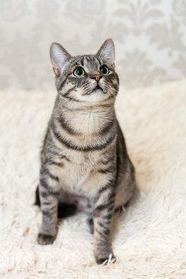 2/9 _mg_5043_logo.jpg