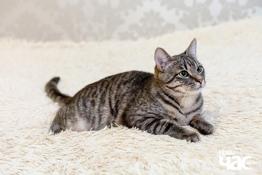 _mg_5050_logo.jpg _mg_5050_logo.jpg