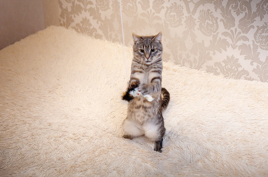 _mg_5056_logo.jpg _mg_5056_logo.jpg