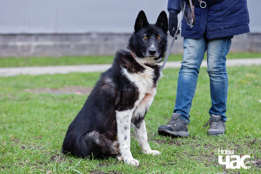 3/13 _mg_5101_logo.jpg