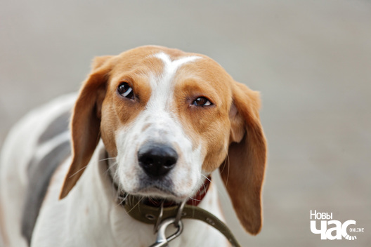 2/15 _mg_7043_logo.jpg