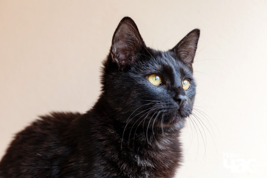 _mg_8784_2_logo.jpg _mg_8784_2_logo.jpg