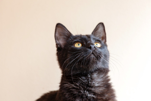 _mg_8786_logo.jpg _mg_8786_logo.jpg