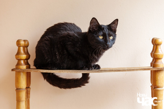 _mg_8791_logo.jpg _mg_8791_logo.jpg