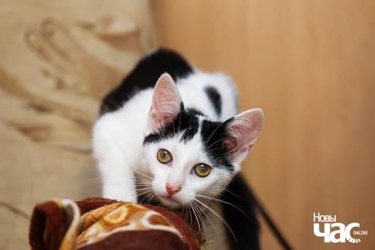 12/12 _mg_9188_1_logo.jpg