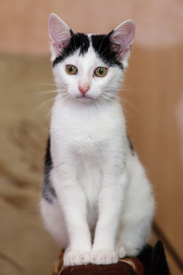 11/12 _mg_9190_logo.jpg