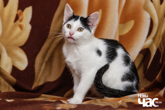 10/12 _mg_9191_1_logo.jpg