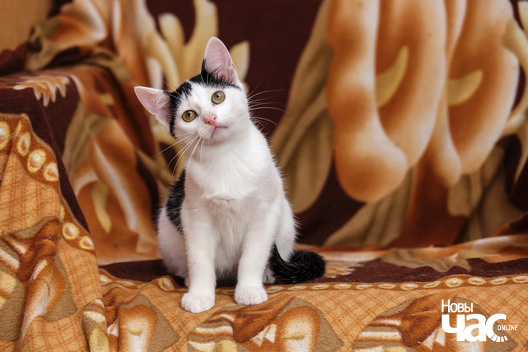 9/12 _mg_9193_logo.jpg