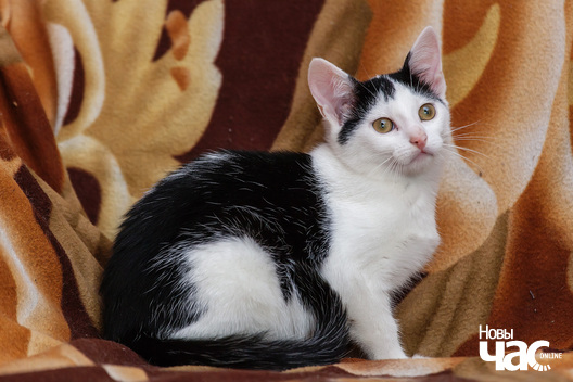 _mg_9195_logo.jpg _mg_9195_logo.jpg