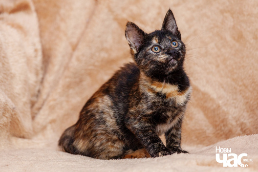 5/12 _mg_9204_logo.jpg