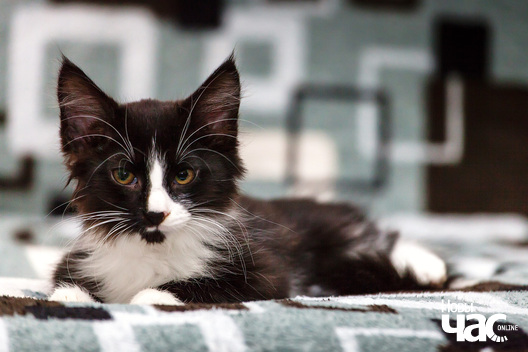 4/4 _mg_9654_logo.jpg