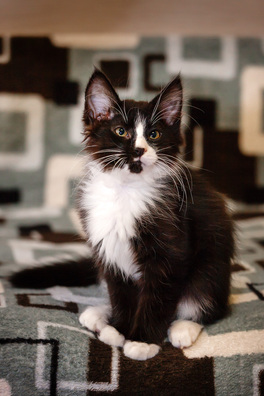 _mg_9674_logo.jpg _mg_9674_logo.jpg