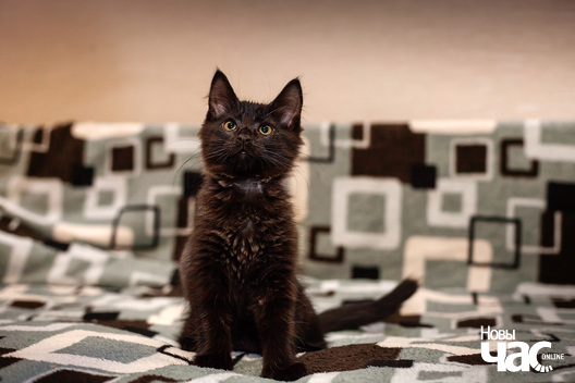 3/3 _mg_9704_logo.jpg