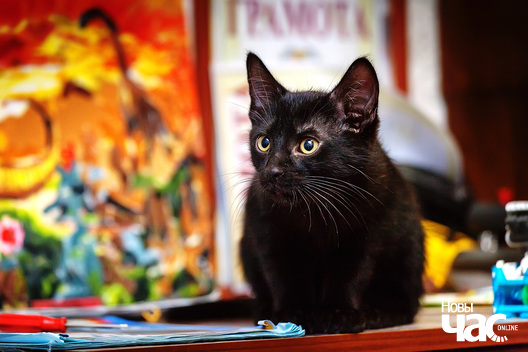 4/10 _mg_9728_logo.jpg