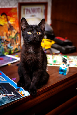 1/10 _mg_9742_logo.jpg