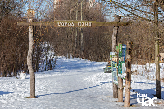 9/9 _minsk_horad_serabranka_srebny_loh_ptuszyny_dvor_fota_dzmitryeu_dzmitryj_novy_czas__2__logo.jpg