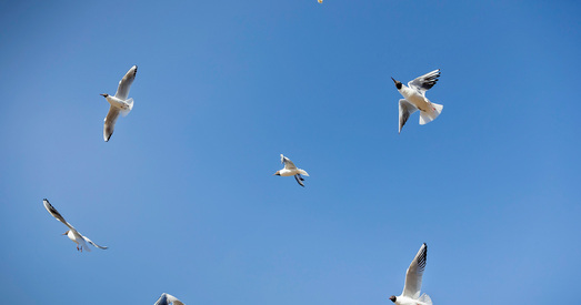 Фота вясны пад Мінскам