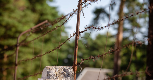 Фотападарожжа па "Каларадскай пушчы"