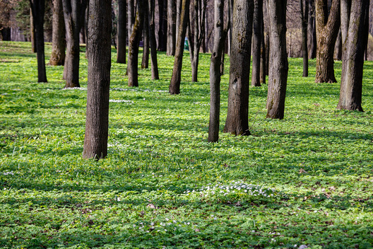 Ілюстрацыйнае фота, Дзмітрый Дзмітрыеў Ілюстрацыйнае фота, Дзмітрый Дзмітрыеў