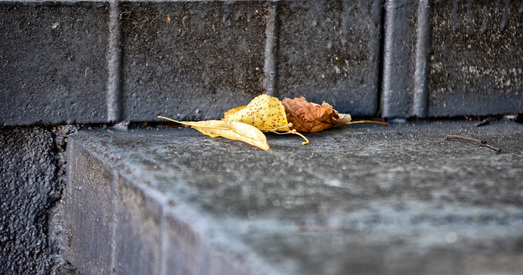 Новыя крэдыты прадпрыемствы бяруць, каб аддаваць старыя