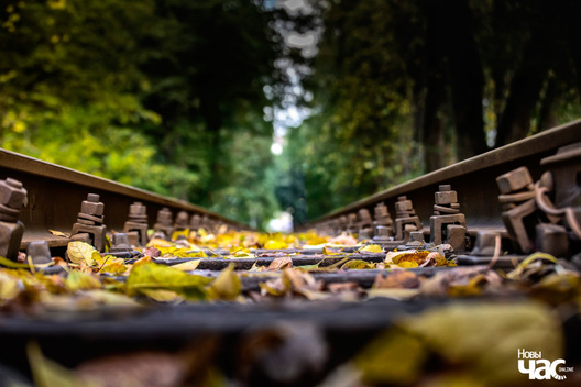 _vosen___lisce___minsk____czyhunka___relsy__fota_dzmitryeu_dzmitryj_novy_czas___1__logo_1.jpg _vosen___lisce___minsk____czyhunka___relsy__fota_dzmitryeu_dzmitryj_novy_czas___1__logo_1.jpg