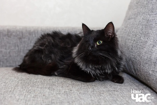 _wzkvsyzlya_logo.jpg _wzkvsyzlya_logo.jpg