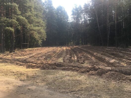 Так пляцоўка выглядае зараз Так пляцоўка выглядае зараз
