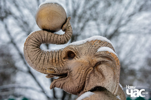 5/23 _zaslaue_zima_sneh_horad_fota_dzmitryeu_dzmitryj__novy_czas___18__logo.jpg