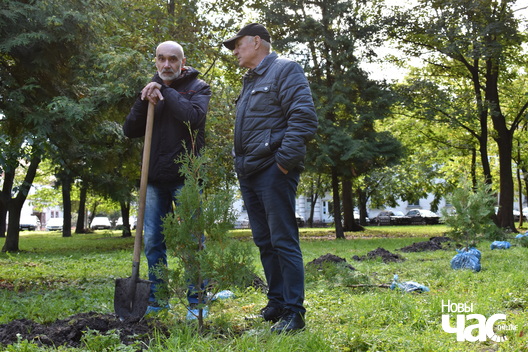 2/3 aaa_1162_logo.jpg