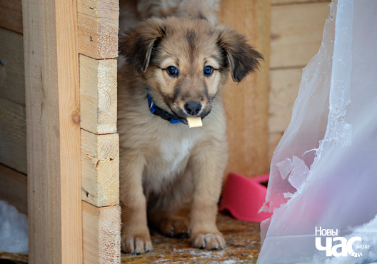 7/7 ajza__3__logo.jpg