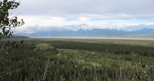 Навукоўцы не змаглі выбраць паміж двума гіпотэзамі засялення Амерыкі