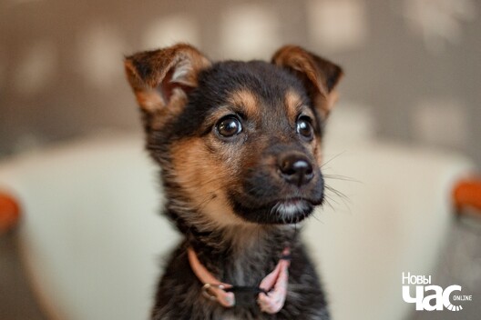 aqoqfm2inig_logo.jpg aqoqfm2inig_logo.jpg