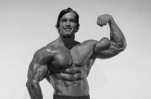 arnold_shvarce_myatnikom_foto2.jpg arnold_shvarce_myatnikom_foto2.jpg