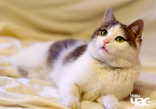 arsenij__1__logo.jpg arsenij__1__logo.jpg