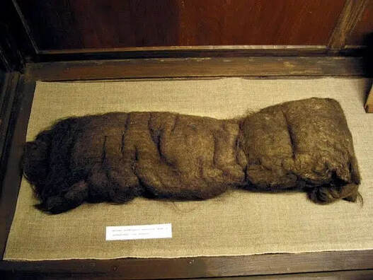 Самы доўгі каўтун Самы доўгі каўтун