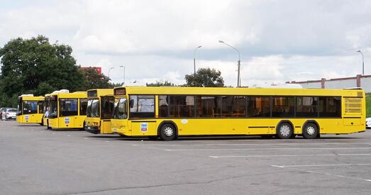 «Мінсктранс» распавёў пра дадатковыя маршруты на Радаўніцу