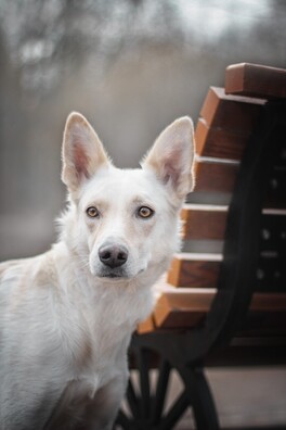 aziwtuqibzs_logo.jpg aziwtuqibzs_logo.jpg