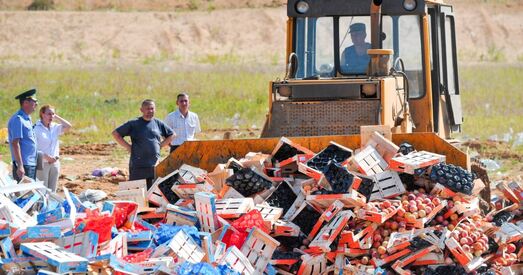 Беларускія кампаніі заявілі, што не пастаўлялі санкцыйную прадукцыю ў Расію