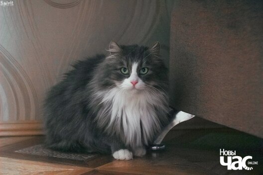 bbq2vaaytbm_logo.jpg bbq2vaaytbm_logo.jpg