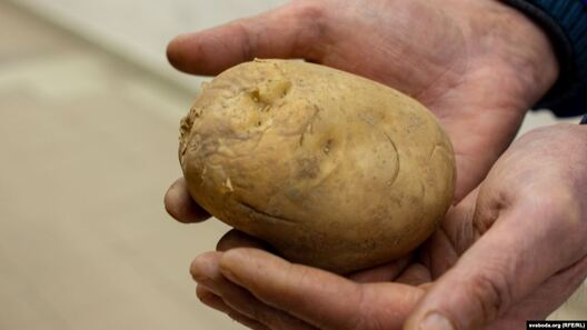 bd09fdfe_0bc0_4ac2_8c35_fbf0c123fa49_cx0_cy4_cw0_w1023_r1_s.jpg bd09fdfe_0bc0_4ac2_8c35_fbf0c123fa49_cx0_cy4_cw0_w1023_r1_s.jpg