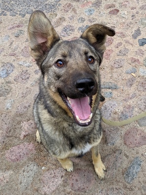 3/3 bej6dklhnjw_logo.jpg