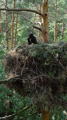 Фота В. Дамброўскага Фота В. Дамброўскага