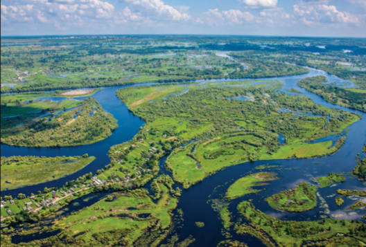 braslauskija_azjory.png braslauskija_azjory.png