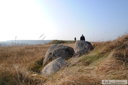 budzma.by__wp_content_gall_fde8b0ec01b0737531fed53cf6db5c91.jpeg budzma.by__wp_content_gall_fde8b0ec01b0737531fed53cf6db5c91.jpeg